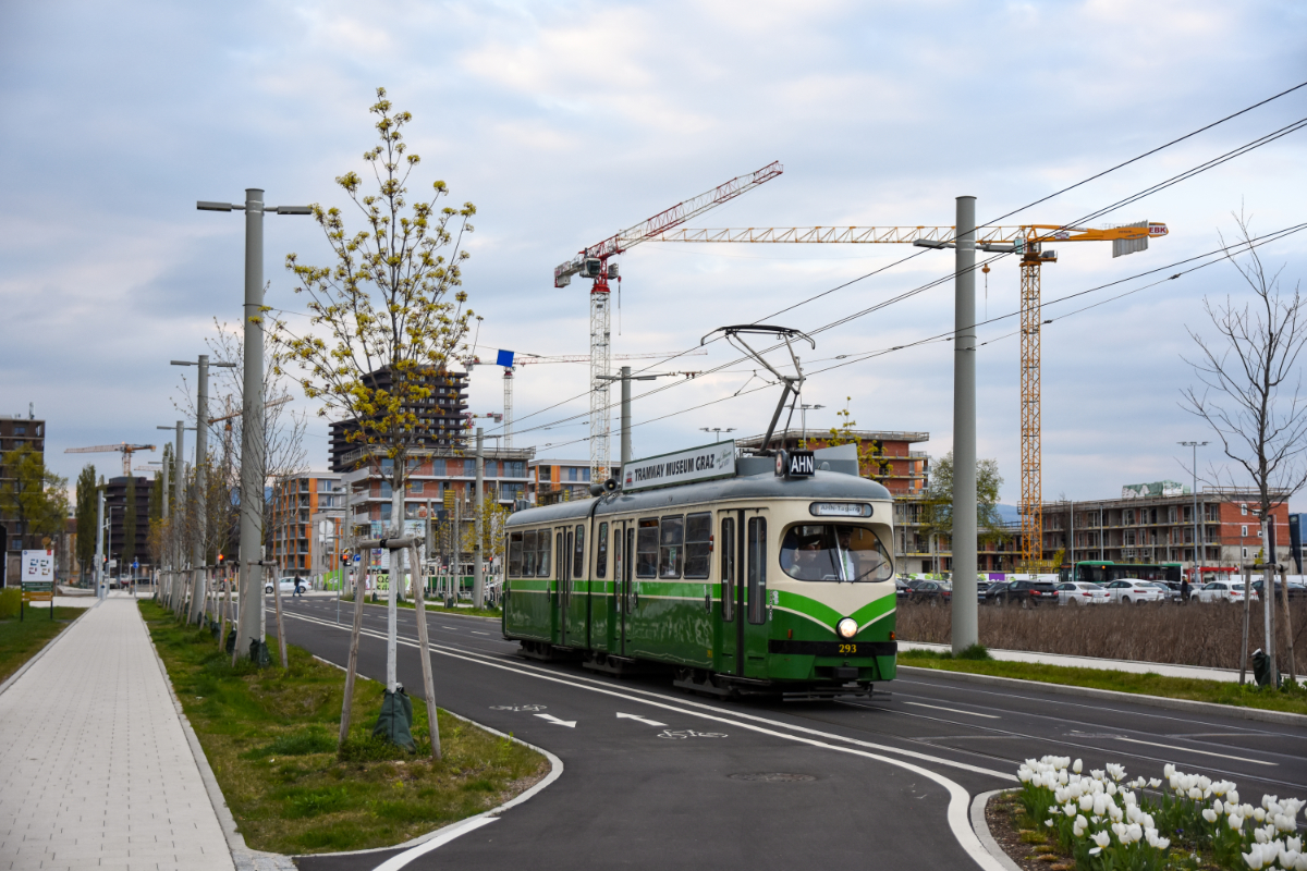 Der Museums-Gelenkwagen 293 (ex Wien E1) im Bereich der Endstation Reininghaus (Foto: Peter Bures)